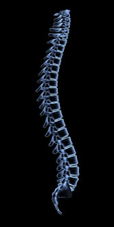 Spinal disorders