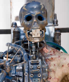 Stress and armoring